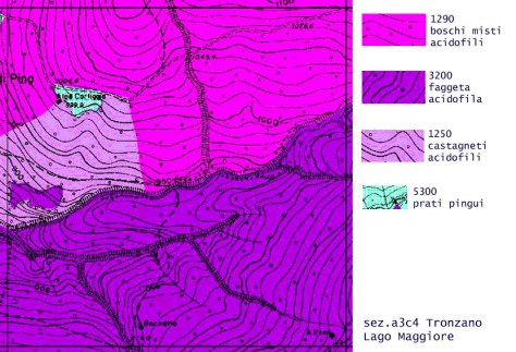 Carta della vegetazione Reale della Provincia di Varese. Chilometro quadrato esemplificativo