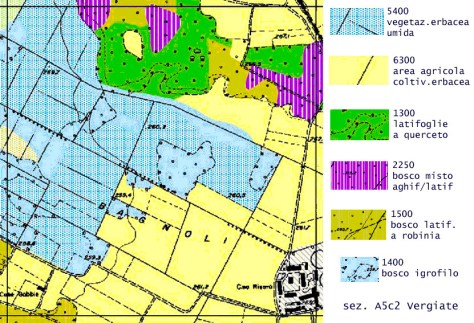 Carta della vegetazione Reale della Provincia di Varese. Chilometro quadrato esemplificativo