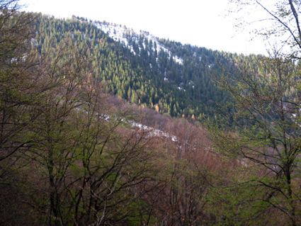  area di studio nel Sic Veddasca. Foto Fabio Saporetti