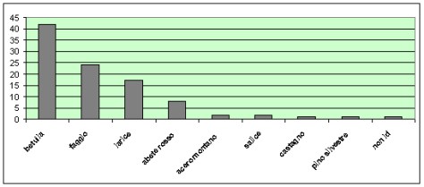 Figura 25: ripartizione degli scavi alimentari per specie di pianta nel SIC Veddasca (n= 98) nel biennio 2008/09.