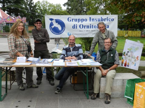 gruppo Angera