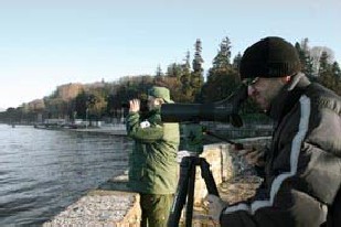 WaterFowlsVarese (2)