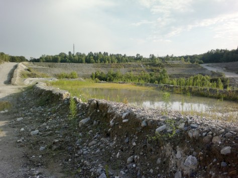 Figura 10: area D, ex cava di Ternate. Foto di Luca Giussani