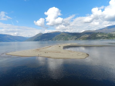 Figura 4: area A, isola alla foce del fiume Tresa, luglio 2014. Foto di Fabio Saporetti