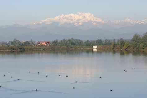 Figura 13: area G, vasche di laminazione del torrente Arno. Foto di Silvio Colaone