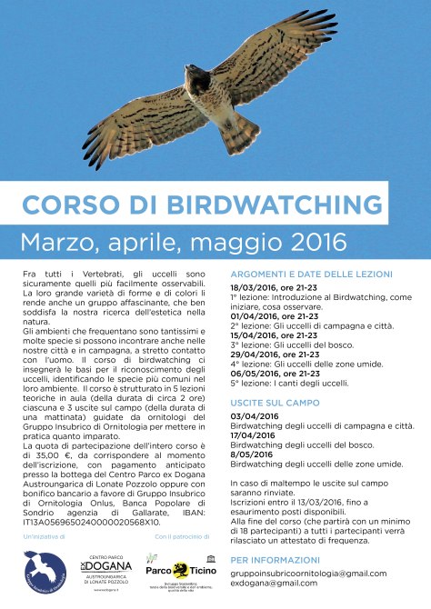 birdwatching jpg.jpg