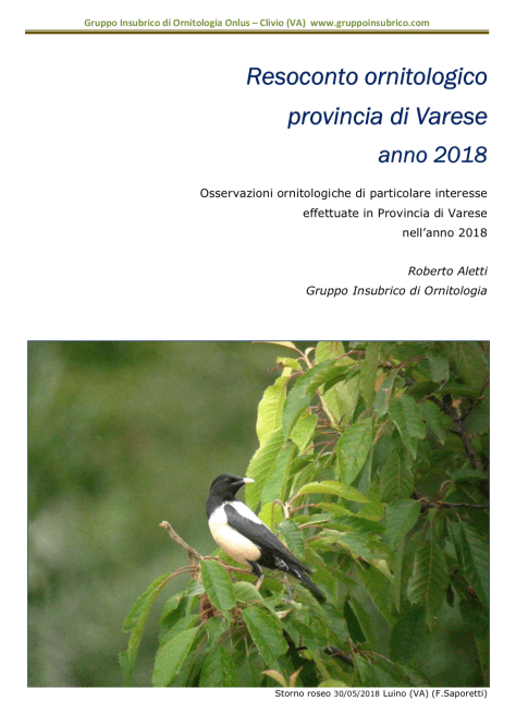 Foto copertina resoconto