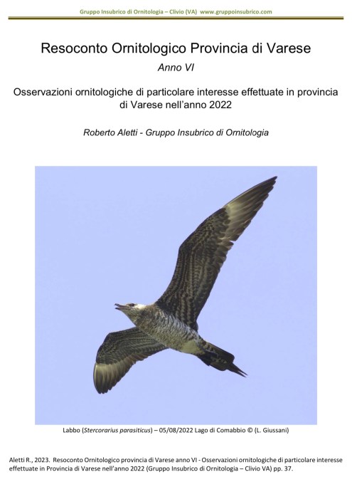 Resoconto 2022 copertina